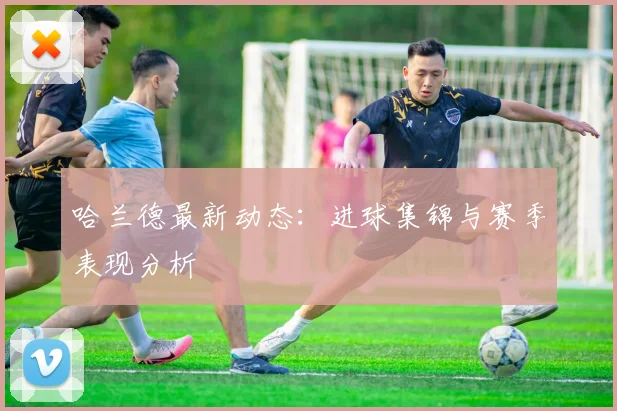 哈兰德最新动态：进球集锦与赛季表现分析